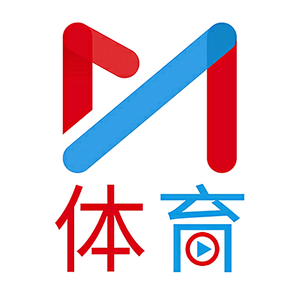 深圳新鹏城U17球队logo